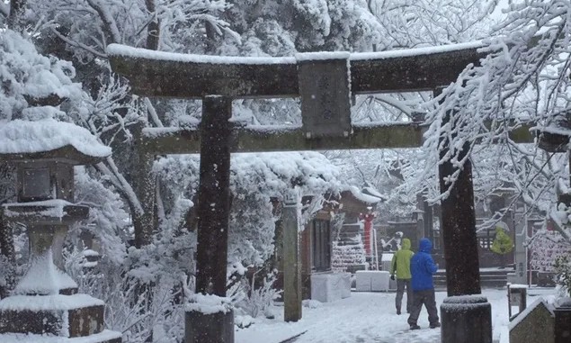 Японию за сутки засыпало метровым слоем снега. Фото и видео