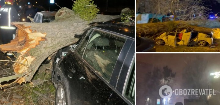 Ураганний вітер валив дерева, а у Києві жертвою негоди стала людина. Фото та відео