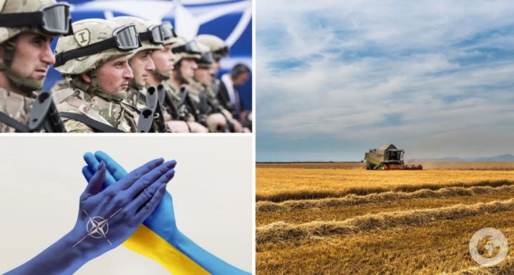«Віддам балкон під пускову!» Українці підтримали ідею віддати землю під військові бази НАТО
