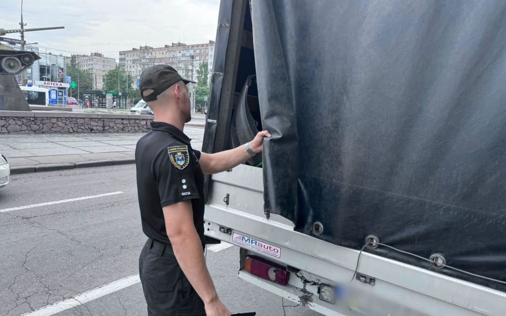 Моторошна знахідка в Миколаєві: стало відомо, куди везли 2 тонни заморожених собак