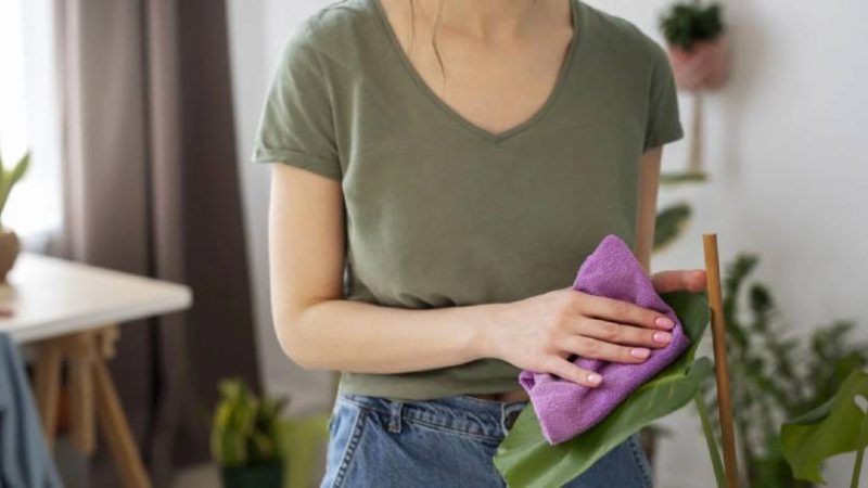 Змішайте ці 2 інгредієнти й забудете про пил у квартирі: слушна порада господиням