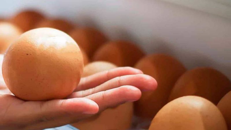 Як правильно та де саме зберігати яйця, щоб довгий час залишалися свіжими