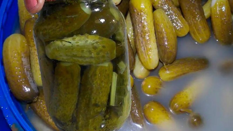 Квашені хрумкі огірки без краплі оцту. За цим рецептом виходять дуже смачні