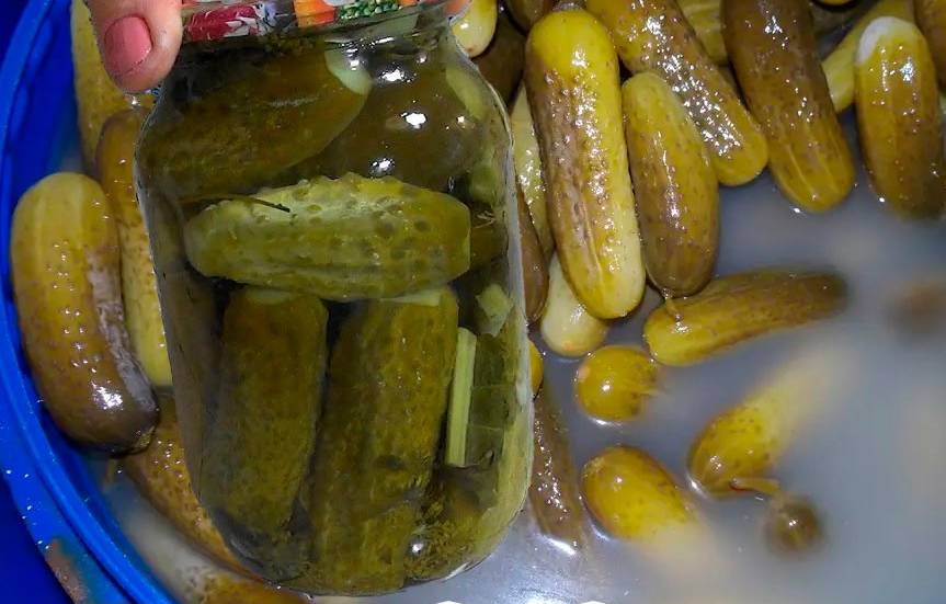Квашені хрумкі огірки без краплі оцту. За цим рецептом виходять дуже смачні