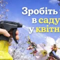 Три обробки у квітні, без яких легко втратити врожай