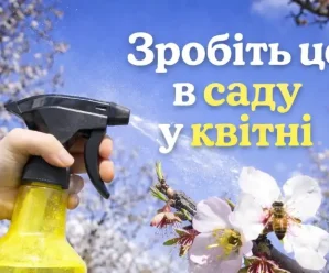 Три обробки у квітні, без яких легко втратити врожай