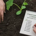 Місячний календар на травень 2026 року для посадки рослин