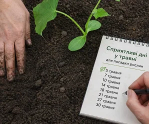Місячний календар на травень 2026 року для посадки рослин