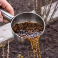 Смородина виросте як виноград: 5 простих кроків, які збільшать урожай у 2 рази без хімії