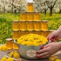 400 квіток кульбаби та 1 кг цукру — ароматний домашній десерт, який підкорює з першої ложки!