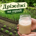 Дріжджове підживлення: натуральний стимулятор росту для овочів і квітів