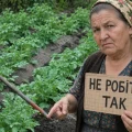 Ніколи не підгортайте так картоплю, щоб не залишитись без врожаю