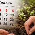 Календар городника на липень 2026: які роботи варто запланувати, щоб отримати щедрий урожай