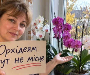 Не поспішайте ставити орхідею на будь-яке підвіконня: ось чому вона може скидати бутони