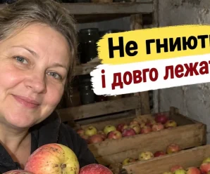 Як зберегти яблука свіжими до весни: 7 правил, щоб урожай не згнив у погребі