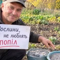 Не всі рослини люблять деревний попіл: 6 культур, яким він може нашкодити