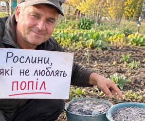 Не всі рослини люблять деревний попіл: 6 культур, яким він може нашкодити